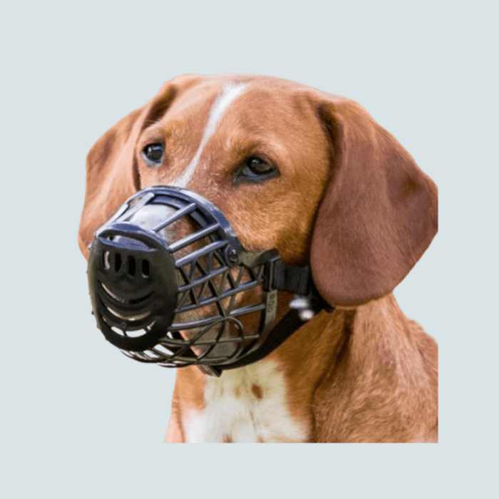 Trixie Dog Muzzle